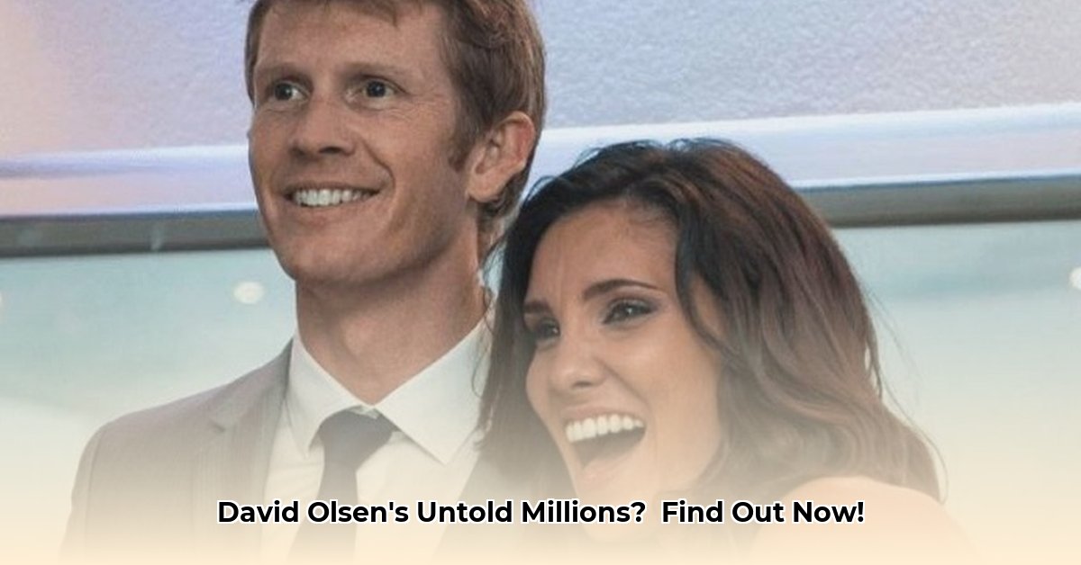 david-paul-olsen-net-worth